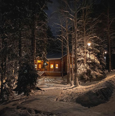 Cabin House Interior, Winter Cabin Aesthetic, Romanticize Winter, Mood Board Pictures, Stranger Things 1, Snowy Cabin, Usa Places, Board Pictures, Snow House