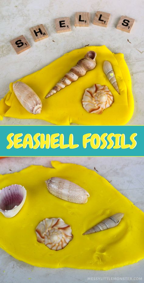 Billy’s Bucket Activities, Playdough Fossils, Fossil Activities For Kids, Making Playdough, Fossils Activities, Prek Learning, Friendship Crafts, Summer Activities For Toddlers, Homemade Playdough Recipe