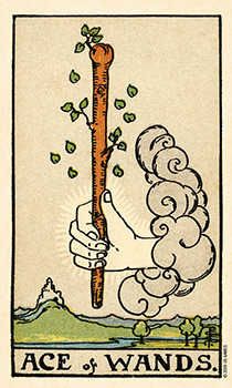 Ace of Wands Tarot Card Meaning | Tarot.com Ace Of Wands, Kartu Tarot, Rider Waite Tarot Cards, Tarot Horoscope, Wands Tarot, Tarot Significado, Spirit Messages, 78 Tarot Cards, Angel Tarot