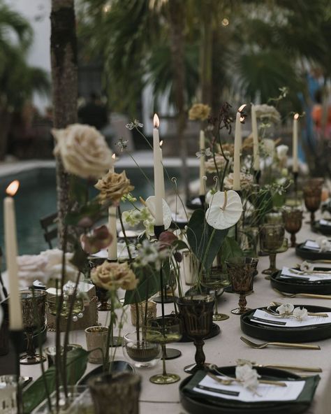 TULUM JUNGLE WEDDING VENUE (@kimatulum) • Instagram photos and videos Tulum Event Decor, Kima Tulum, Moody Tropical Wedding, Tulum Party, Thick Wedding Bands, Floral Desing, Olive Green Weddings, Jungle Wedding, Philippine Wedding