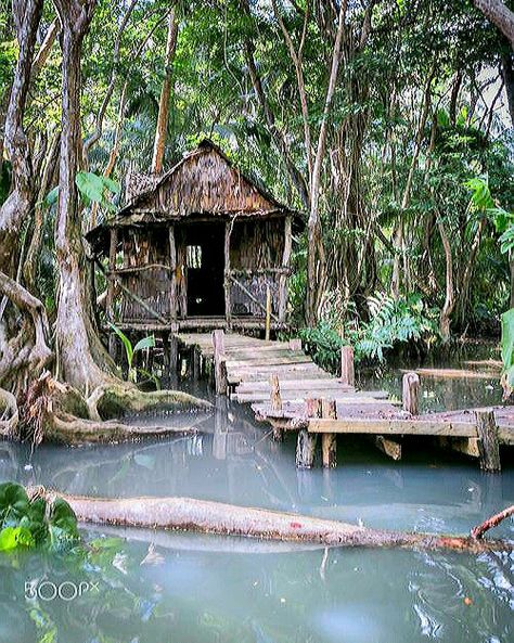 Bayou House, Kava Kava, Louisiana Swamp, Louisiana Bayou, Wooden Hut, Wanderlust Decor, Creepy Houses, Indian River, Southern Gothic