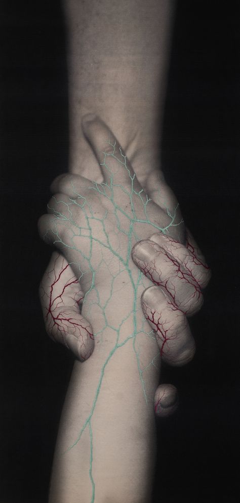 Image courtesy of Michael Hoppen Gallery Juana Gomez, A Level Photography, Art Connection, Art Alevel, Umbilical Cord, Hand Photography, Art Theme, Gcse Art, A Level Art