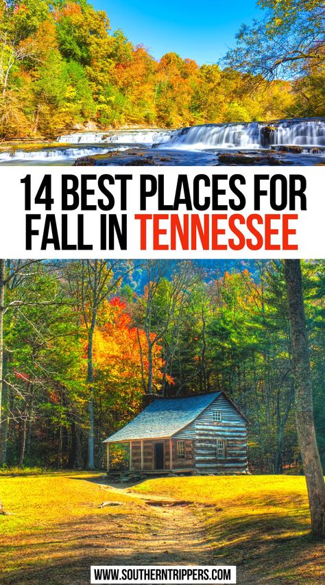 14 Best Places for Fall in Tennessee Tennessee Autumn, Fall In Tennessee, Fall Tennessee, North Carolina Fall, Fall In The South, Tennessee Fall, Tennessee Gatlinburg, Fall Foliage Trips, Autumn Things