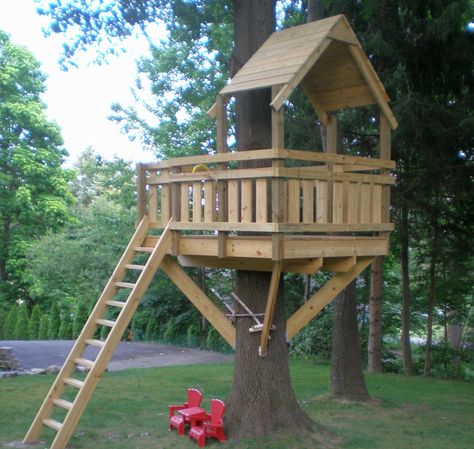 Be a superdad to your kids by building them a splendid treehouse Tree House For Kids, Treehouse For Kids, Wooden Tree House, House For Kids, Building A Treehouse, Tree House Plans, Tree Fort, Tree House Diy, Build A Playhouse