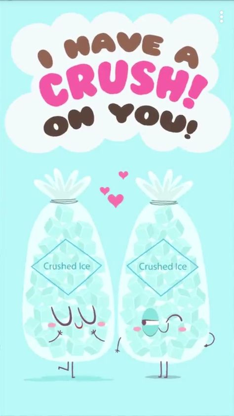 I have a crush on you!!! Pun Valentines, Cheesy Puns, Punny Puns, Punny Cards, Funny Food Puns, Crush On You, Food Pun, Ocean Eyes, Food Memes