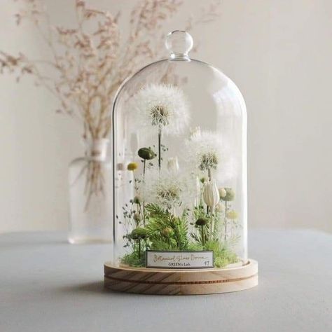 Cloche Decor, Work Diy, Glass Cloche, Pressed Flower Art, Deco Floral, Dried Flower Arrangements, Arte Floral, Glass Dome, How To Preserve Flowers