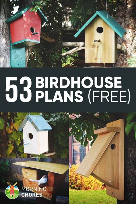 53 DIY Bird House Plans that Will Attract Them to Your Garden Birdhouse Plans, Bird House Plans Free, Bird Feeder Plans, Homemade Bird Houses, Bird Houses Ideas Diy, Bird House Feeder, Bird House Plans, Bird House Kits, Bird Aviary