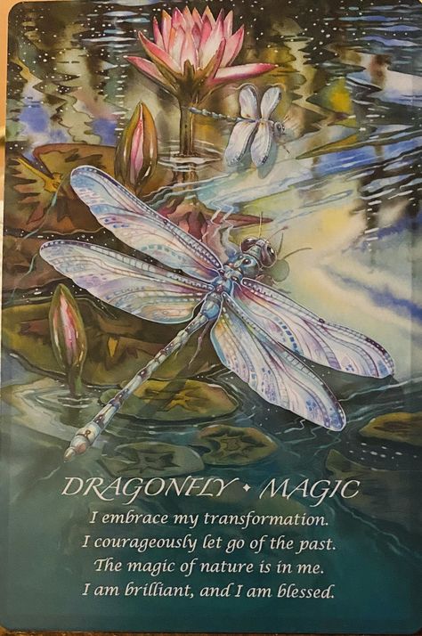 Dragonfly Meaning Spiritual, Dragonfly Meaning, Dragonfly Symbolism, Dragonfly Quotes, Garden Dragonfly, Dragonfly Artwork, Dragonfly Photos, Dragonfly Painting, Colorful Dragonfly