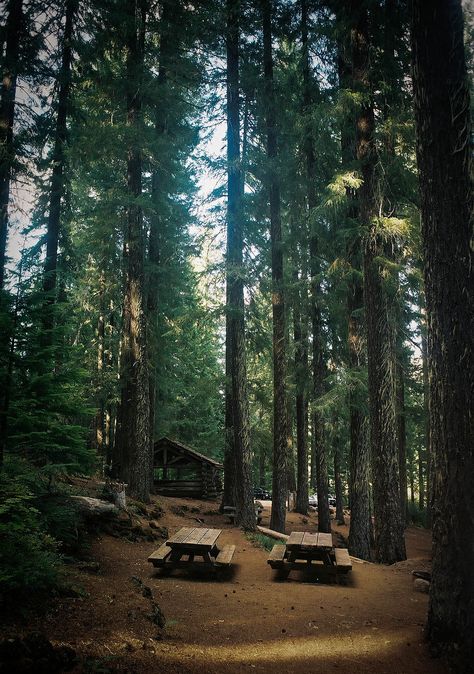 ahhhhh Camping Aesthetic, Picnic Tables, Clear Lake, Cabin Life, Camp Half Blood, Camping Experience, Cabins In The Woods, Go Camping, Percy Jackson