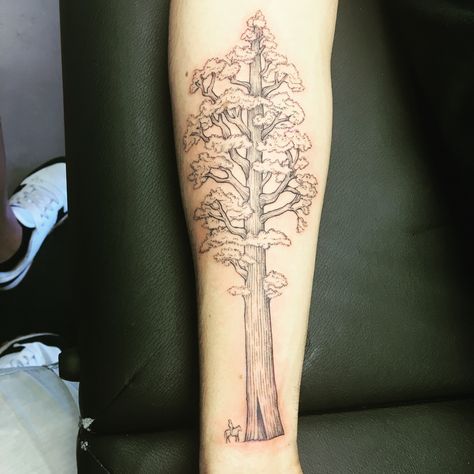 Giant Sequoia, one of the oldest trees. They depend on fire to ensure growth and regeneration. Without the fire's heat, the sequoia cones…    #tattoo #tattoos #tattooartist #femaletattooartist #miamitattoo #miamitattoos #miamitattooartist #miamiart #miamiartist #miami #regperez #tattoodesign Artists Tattoos, Giant Sequoia, Miami Tattoo, Ankle Tattoo Designs, Sequoia Tree, Female Tattoo Artists, Old Tree, Miami Art, Female Tattoo