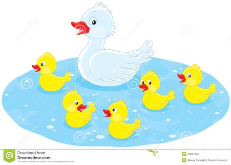 Ducklings Illustration, Duck Drawings, Duck Swimming, Duck And Ducklings, Duck Drawing, Animals Drawing, Duck Duck, White Duck, White Ducks