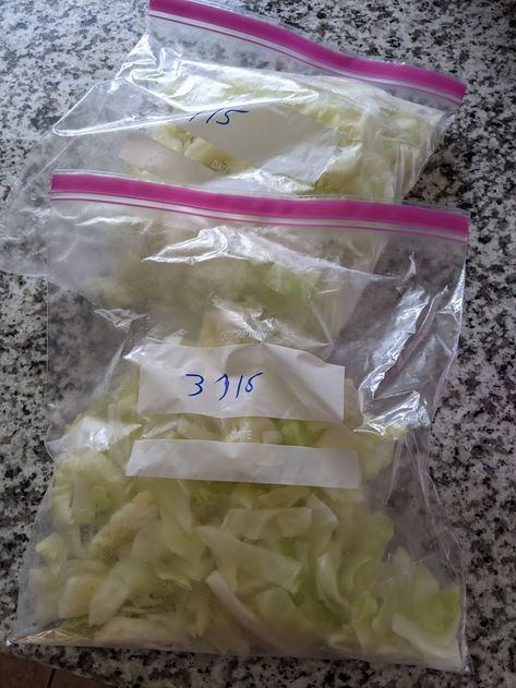 Best Way to Freeze Cabbage » The Martha Review Freezing Cabbage Rolls, Can Cabbage Be Frozen, Storing Cabbage In Fridge, Freezing Cabbage Without Blanching, How To Freeze Cabbage Without Blanching, Cabbage Freezing, How To Freeze Cabbage, Can You Freeze Cabbage, Freezing Cabbage