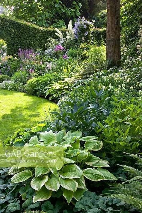 Gardens With Borders, Mixed Garden Border, Mixed Border Planting, Boarder Planting Plan, Shady Garden Border, Garden Design Borders, Plant Borders Ideas, Mixed Border Design, Shaded Border Ideas