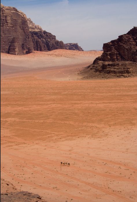 Petra Travel, Casino Jackpot, Deserts Of The World, Lawrence Of Arabia, Desert Environment, Jordan Travel, Desert Dream, Wadi Rum, Desert Oasis