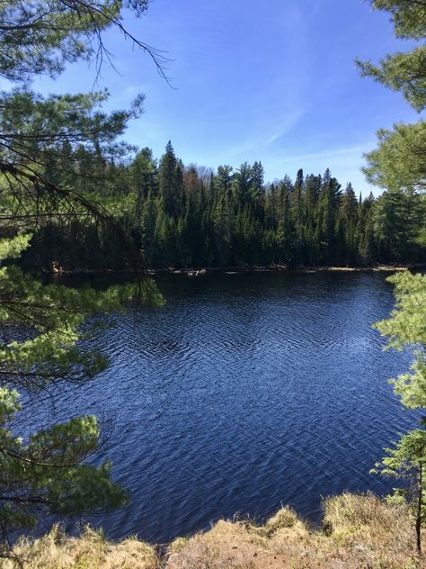 Ontario Provincial Parks, Canadian Summer, Algonquin Provincial Park, Landscape References, Ontario Parks, Summer Energy, Summer Board, Ontario Travel, Algonquin Park