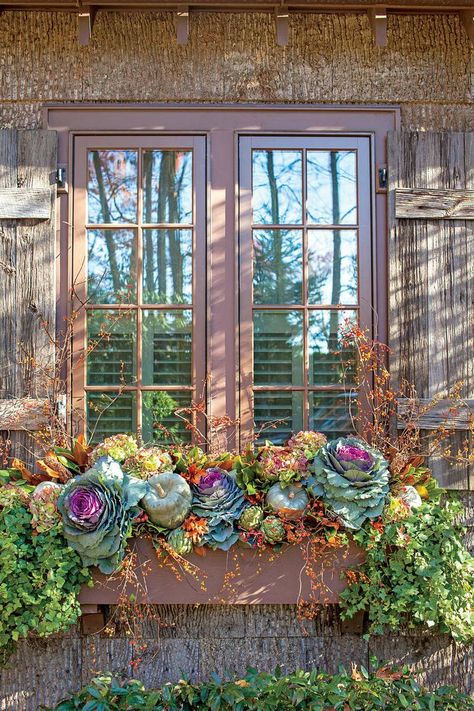 Fall Window Boxes, Fall Flowers Garden, Fall Windows, Simple Decorating, Balkon Decor, Ornamental Cabbage, Plant Window, Fall Containers, Dried Hydrangeas