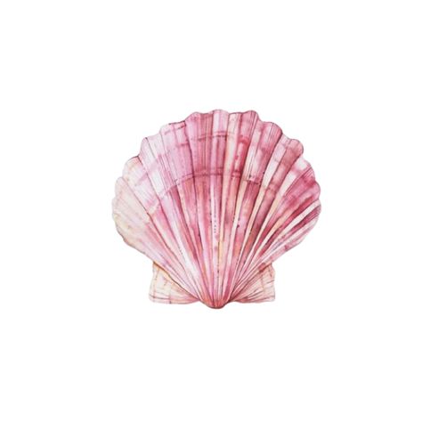 Pink Shell Aesthetic, Pink Malibu Aesthetic, Aesthetic Pink Pictures For Widgets, Girly Widgetsmith Ideas, Pink Shell Wallpaper, Cute Pink Widget Aesthetic, Widget Ideas Summer, Graphic Tee Print Png, Shell Widget