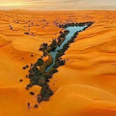 Nature Aesthetic Pictures, Deserts Of The World, Desert Life, Desert Oasis, Rural Landscape, Photography Beautiful, Nature Beautiful, Nature Aesthetic, Dream Destinations