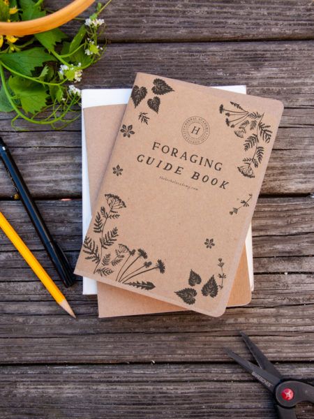 Foraging Guide, Notebook Set, Organic Logo, Pocket Notebook, Books To Buy, Guide Book, Notebook