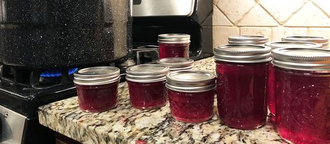 Mayhaw Jelly Recipe, Mayhaw Jelly, Thai Chilli Sauce, Thai Chilli, Highbush Cranberry, Cranberry Jelly, Foraging Recipes, Canning Lids, In The Summertime