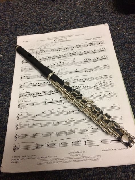 Why is the Lieberman piccolo concerto the best thing ever? Piccolo Flute Aesthetic, Piccolo Instrument Aesthetic, Piccolo Aesthetic, Piccolo Instrument, Piccolo Flute, Flute Player, Flute Sheet Music, Band Kid, Nostalgic Toys