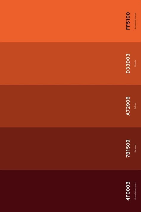 Marigold Orange Color, Dark Orange Colour Palette, Hazy Orange Aesthetic, Deep Orange Color Palette, Color Palette For Orange, Luxury Orange Color Palette, Contrasting Colour Combinations, Orange Palette Aesthetic, Luxury Red Color Palette