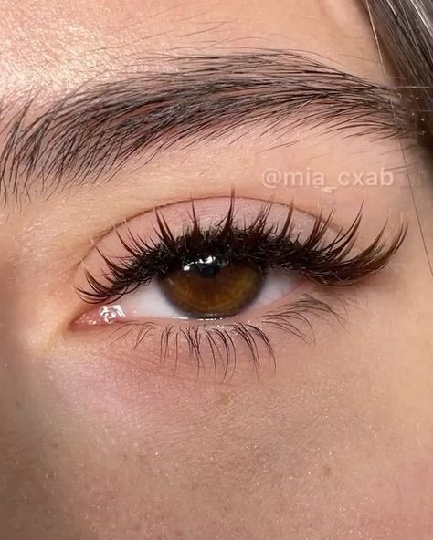 Kim K Lash Map, Whiskey Lashes, Kim K Eyelash Extensions, Whisky Classic Lashes, Lashes Kim Effect, Whisky Natural Lash Extensions, Whisky Lash Extensions, Single Lash Extensions, Lash Extensions Whispie