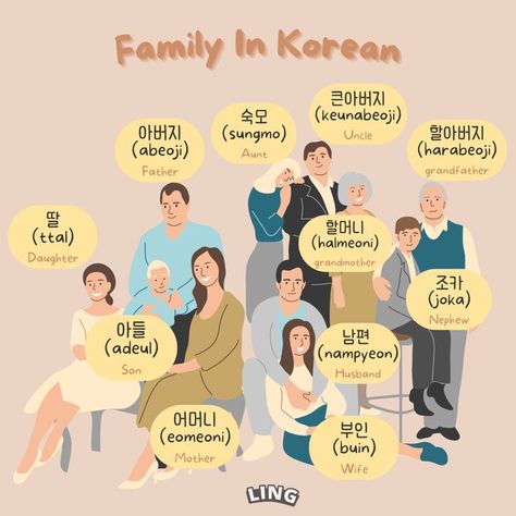 Family In Korean, Respect For Elders, Trip To Korea, Learning Korean Grammar, Korean Vocabulary, Learn Basic Korean, Learn Korean Alphabet, Easy Korean Words, Learn Hangul