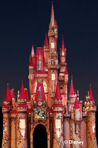 The Castle on Valentine's Day! Disney Castles, Cinderella's Castle, Disneyland Castle, Famous Castles, Disney Valentines, Disney Magic Kingdom, Cinderella Castle, Disney Castle, A Castle