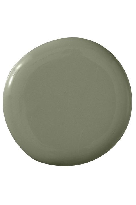 Donald Kaufman Color DKC-26 Best Sage Green Paint, Sage Green Paint Color, Sage Green Paint, Favorite Paint Colors, Spanish Style Home, Green Paint Colors, Favorite Paint, Interior Paint Colors, Exterior Paint Colors