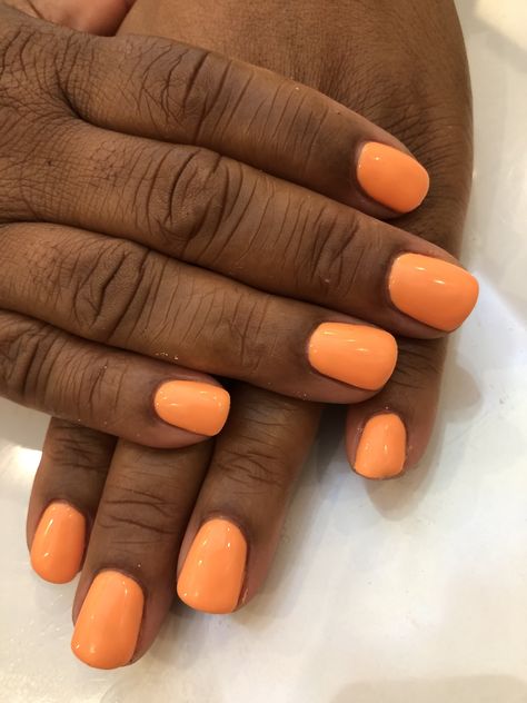 Pumpkin spice by dnd 💅🏽 #gelcolor #gelnails #gelpolish #gelmani #dnd #dntmindherpinky @dndgel Dnd Pumpkin Spice Nails, Dnd 095 Orange Rust, Dnd Orange Gel Nails, Dnd Gel Polish Colors Orange, Fall Pink Nails Dnd, Dnd Gel Polish Orange Creamsicle, Dnd Pink, Dnd Colors, Dark Skin Nail Color