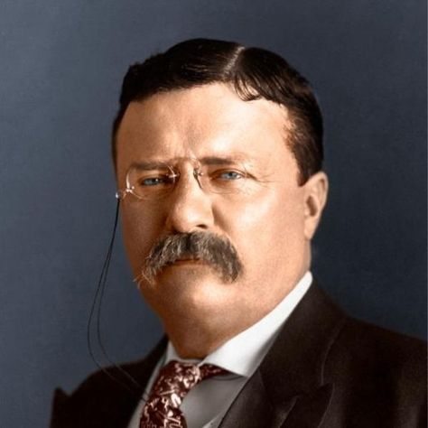 Theodore Roosevelt Quotes Teddy Roosevelt Quotes, Theodore Roosevelt Quotes, Roosevelt Quotes, Quotes Board, Teddy Roosevelt, Quotes Ideas, Theodore Roosevelt, American Presidents, Gilded Age