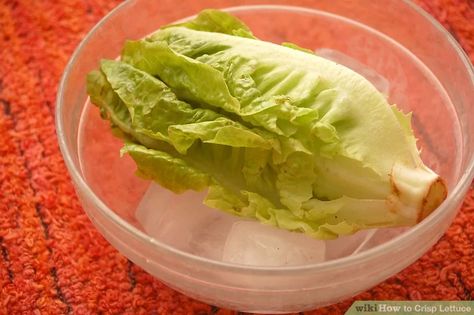 Wilted Lettuce, Cardiac Diet, Head Of Lettuce, Iceberg Lettuce, Lettuce Salad, Lettuce Leaves, Romaine Lettuce, Cleaning Dishes, How To Cook