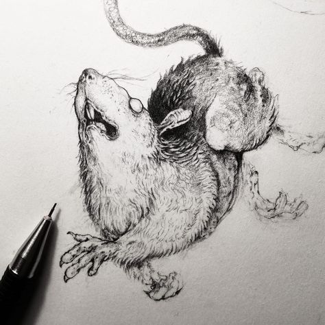 Wodwo Rat Ink Drawing, Rat Illustration Ink, Rat Art Reference, Disgusting Drawing, Rat Art Illustration, Drawing Rats, Rat Drawing Reference, Rat Draw, Eerie Drawings