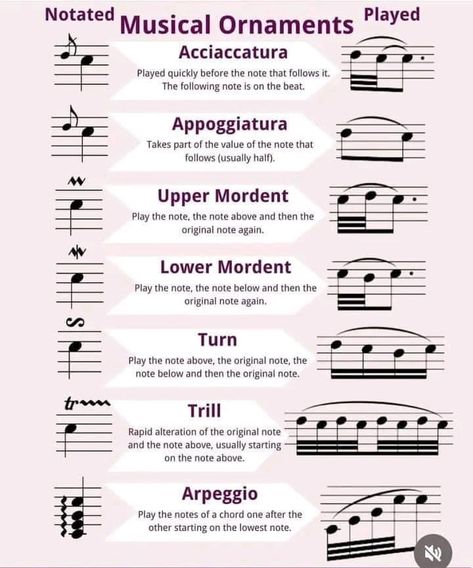 Music Vocabulary, Music Basics, Music Theory Piano, Violin Shop, Learn Music Theory, Music Theory Lessons, Piano Music Lessons, Music Theory Guitar, Music Jokes