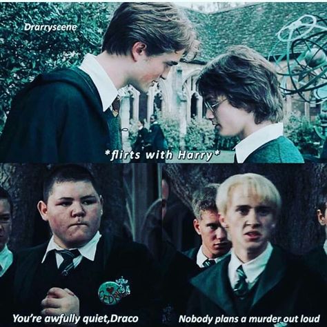 Draco x Harry all you need to know  The pictures and the covers do no… #fantasy #Fantasy #amreading #books #wattpad Blaise Harry Potter, Meme Harry Potter, Harry Potter Dog, Harry Potter Draco, Funny Harry Potter, Citate Harry Potter, Glume Harry Potter, Drarry Fanart, Funny Harry Potter Jokes