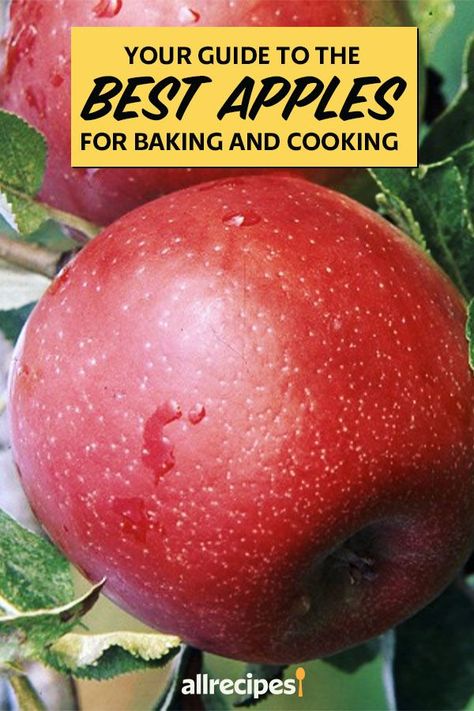 Royal Gala Apples Recipes, Northern Spy Apple Recipes, Baked Gala Apples, Recipes For Gala Apples, Courtland Apple Recipes, Gravenstein Apple Recipes, Mutsu Apple Recipes, Braeburn Apple Recipes, Wolf River Apple Recipes