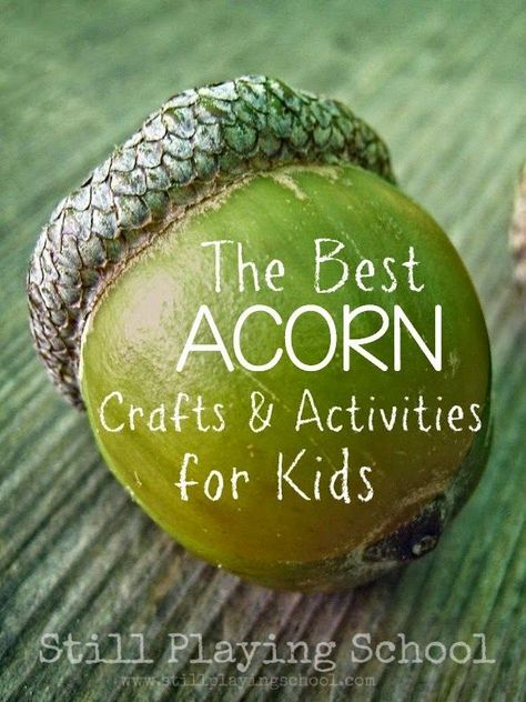 The Best Acorn Crafts, Activities, and Snacks for Kids from Still Playing School Crafts And Activities For Kids, Acorn Crafts, Fall Preschool, Fall Crafts For Kids, Autumn Crafts, Thanksgiving Crafts, Nature Crafts, Autumn Activities, Craft Activities For Kids