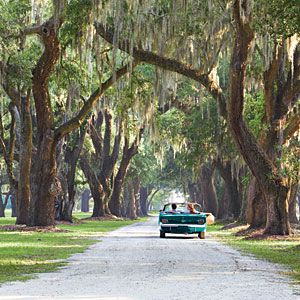 South Carolina | Explore the Lowcountry | SouthernLiving.com Southern Road Trips, Southern Life, Spanish Moss, Christmas Travel, Low Country, Road Trip Usa, Down South, Oh The Places Youll Go, Vacation Spots