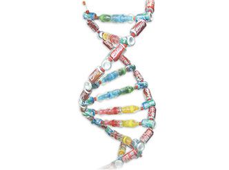 Molecule Model, Dna Polymerase, Dna Helix, Dna Replication, Dna Molecule, Human Dna, Coca Cola Can, Spatial Relationships, Recycle Cans