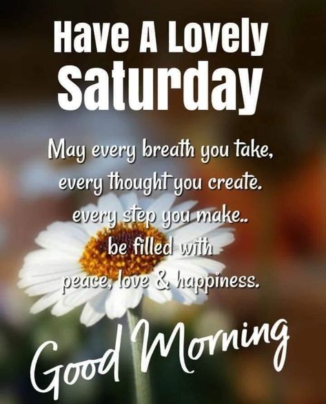 Saturday Morning Greetings, Happy Sabbath Quotes, Good Morning Saturday Images, Weekend Wishes, Saturday Morning Quotes, Happy Saturday Quotes, Happy Saturday Morning, Happy Saturday Images, Wednesday Greetings