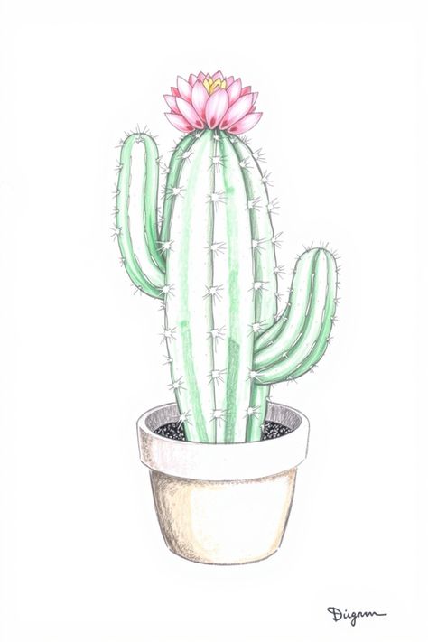 Check Out This Cactus Drawing & 12+ Other Plant Drawing Ideas! #drawing #drawingideas Plant Drawing Ideas, Hibiscus Flower Drawing, Orchid Drawing, Branch Drawing, Tulip Drawing, Procreate Ideas, Baby Cactus, Plant Sketches, Wave Drawing