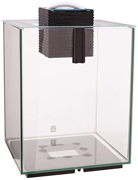 Amazon.com : Fluval 10505 Chi II Aquarium Set, 5 gal : Pet Supplies Fluval Chi, Beta Tank, 5 Gallon Aquarium, Aquarium Lamp, Aquarium Set, Saltwater Fish Tanks, Tank Air, Nano Aquarium, Aquarium Stand