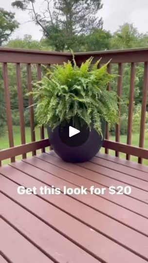 Boston Fern, Front Porch Decor, Porch Decor, Geraniums, Plant Hanger, Porch Decorating, Fern, Front Porch, Porch