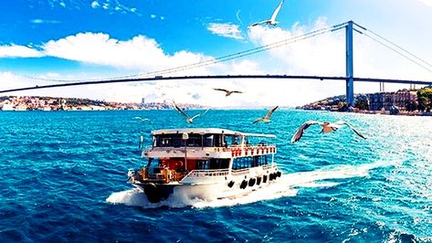 How Much Does a Bosphorus Cruise Cost? Bosphorus Cruise, How To Book A Cruise, Tour Operator, Luxury Yachts, Wooden Boats, Tour Guide, Istanbul, Special Events, Are You The One