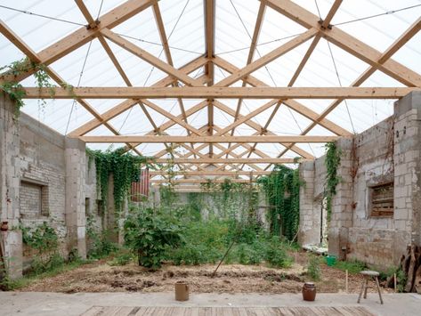 Heim Balp Architekten, Francesca Ióvene · Gutshof Güldenhof · Divisare Concrete Staircase, German Architecture, Farmhouse Architecture, Smooth Concrete, Timber Roof, Concrete Stairs, Nature Architecture, Roof Trusses, Wooden Staircases