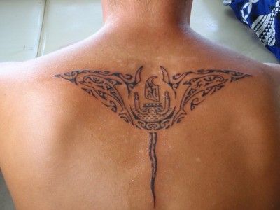 Sting Ray Tattoo Back, Sting Ray Back Tattoos, Sting Ray Tattoo, Hand Tatts, Ray Tattoo, Earthy Tattoos, Orchid Tattoo, Cute Little Tattoos, Side Tattoos