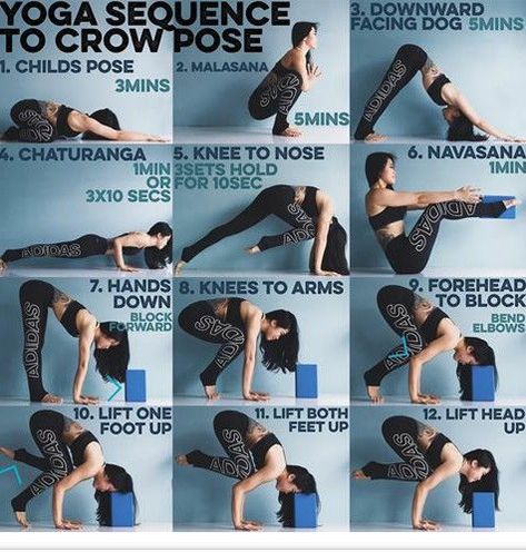 Yoga- crow pose Stretch Flow, Yoga Sequencing, Hata Yoga, Arm Balance, Crow Pose, Sup Yoga, Dog Yoga, Yoga Sequence, Yoga Iyengar