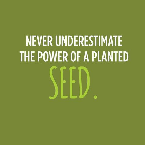 Never underestimate the power of a planted seed via Chef Harpal Singh Sokhi #Seed #quotes Cute Country Quotes, Grandma Quotes Funny, Seed Quotes, Social Work Quotes, Mother Nature Quotes, Adversity Quotes, Growing Quotes, Growth Mindset Quotes, Inspirational Quotes About Strength