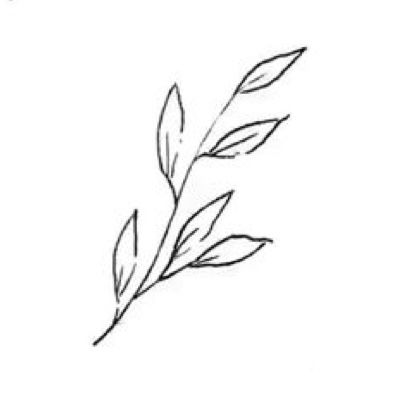 Basil Tattoo Simple, Ear Leaf Tattoo, Basil Leaf Tattoo, Basil Tattoo, Leaf Tattoo, Tattoo Time, Basil Leaf, Tattoo Simple, Time Tattoos